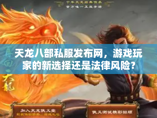 天龙八部私服发布网，游戏玩家的新选择还是法律风险？