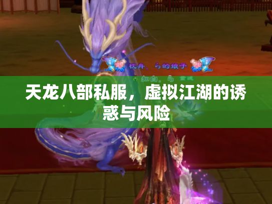 天龙八部私服，虚拟江湖的诱惑与风险