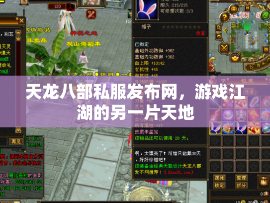 天龙八部私服发布网，游戏江湖的另一片天地