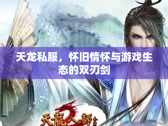 天龙私服，怀旧情怀与游戏生态的双刃剑