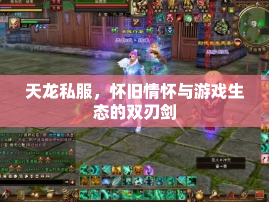 天龙私服，怀旧情怀与游戏生态的双刃剑