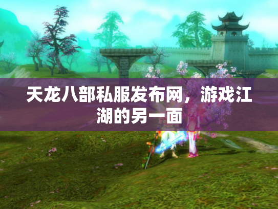 天龙八部私服发布网，游戏江湖的另一面