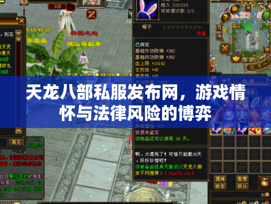天龙八部私服发布网，游戏情怀与法律风险的博弈