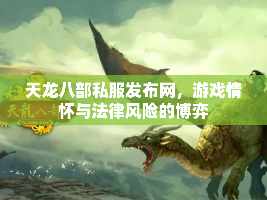 天龙八部私服发布网，游戏情怀与法律风险的博弈