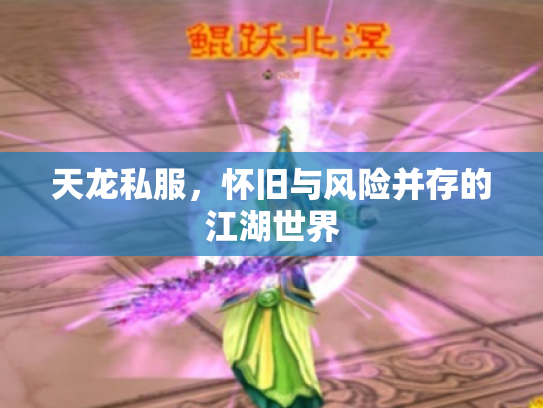 天龙私服，怀旧与风险并存的江湖世界