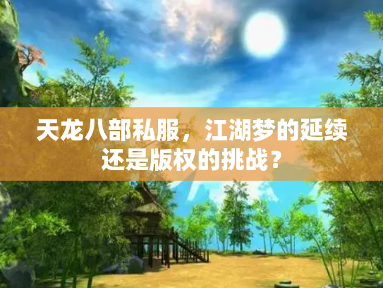 天龙八部私服，江湖梦的延续还是版权的挑战？