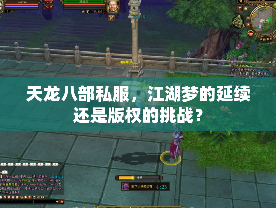 天龙八部私服，江湖梦的延续还是版权的挑战？