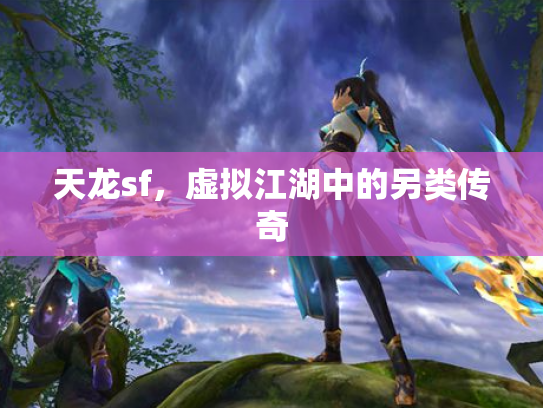 天龙sf，虚拟江湖中的另类传奇