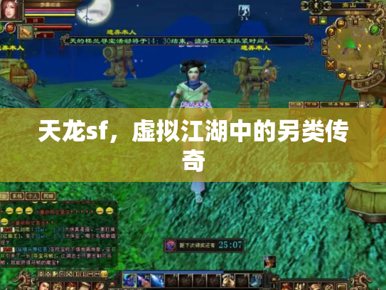 天龙sf，虚拟江湖中的另类传奇