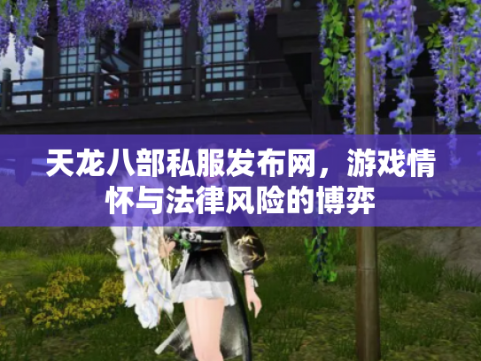 天龙八部私服发布网，游戏情怀与法律风险的博弈