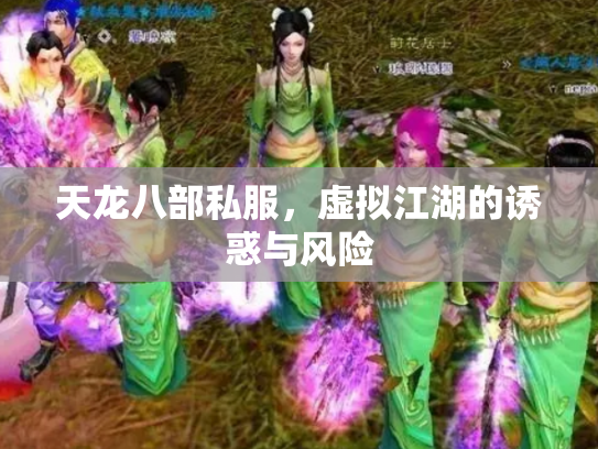 天龙八部私服，虚拟江湖的诱惑与风险