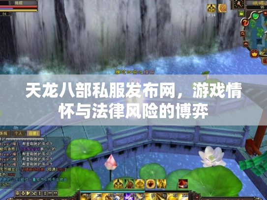 天龙八部私服发布网，游戏情怀与法律风险的博弈