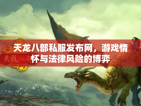 天龙八部私服发布网，游戏情怀与法律风险的博弈