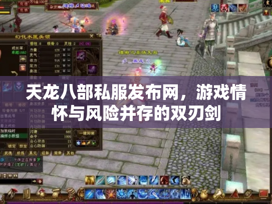 天龙八部私服发布网，游戏情怀与风险并存的双刃剑