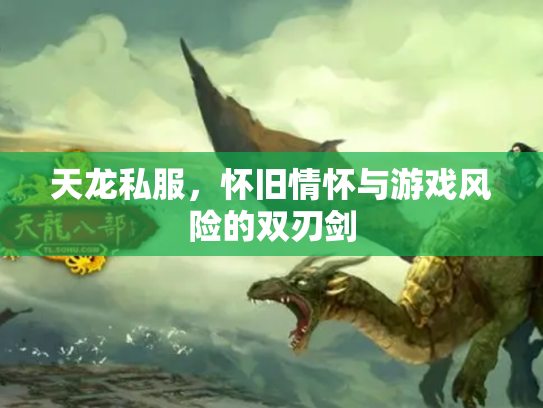 天龙私服，怀旧情怀与游戏风险的双刃剑