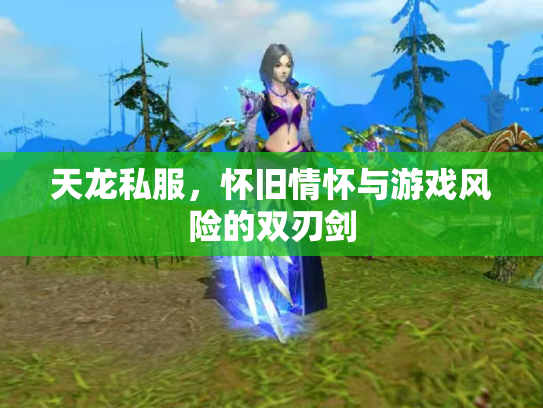 天龙私服，怀旧情怀与游戏风险的双刃剑