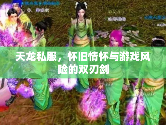 天龙私服，怀旧情怀与游戏风险的双刃剑
