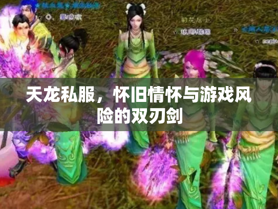 天龙私服，怀旧情怀与游戏风险的双刃剑