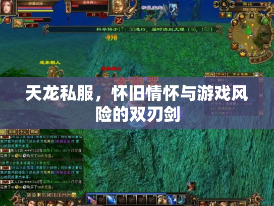天龙私服，怀旧情怀与游戏风险的双刃剑