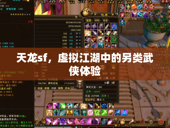 天龙sf，虚拟江湖中的另类武侠体验