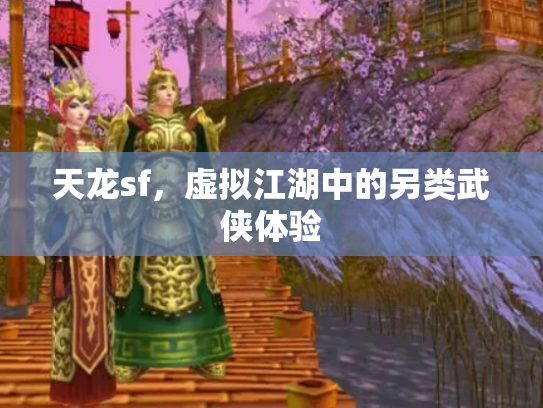天龙sf，虚拟江湖中的另类武侠体验