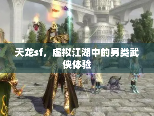 天龙sf，虚拟江湖中的另类武侠体验