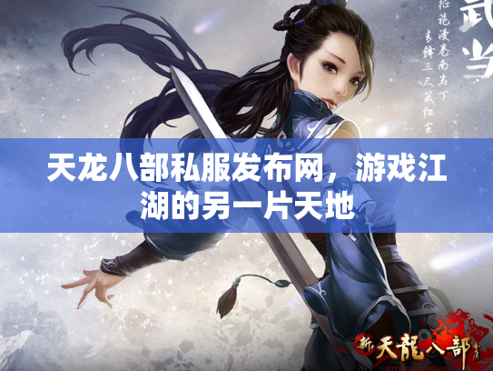 天龙八部私服发布网，游戏江湖的另一片天地