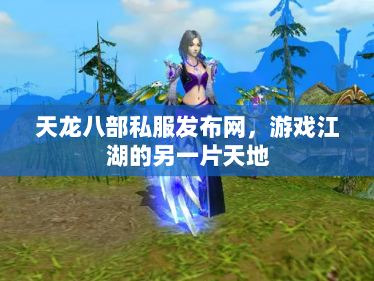天龙八部私服发布网，游戏江湖的另一片天地