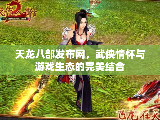天龙八部发布网，武侠情怀与游戏生态的完美结合