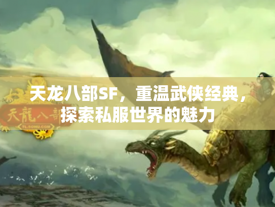 天龙八部SF，重温武侠经典，探索私服世界的魅力
