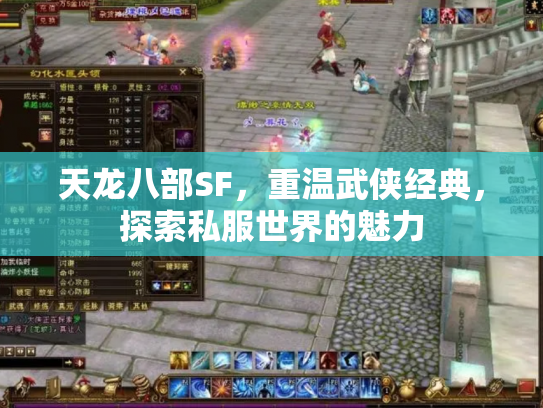 天龙八部SF，重温武侠经典，探索私服世界的魅力