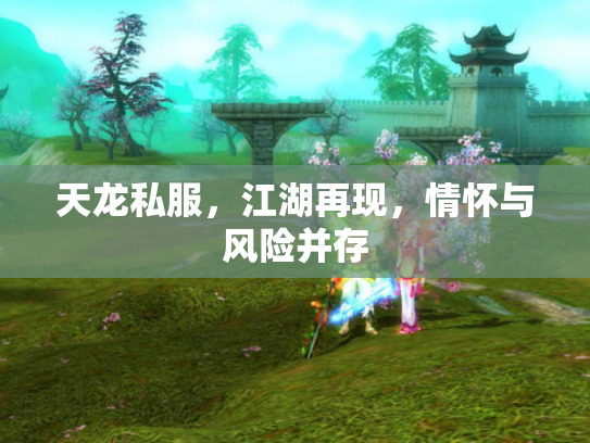 天龙私服，江湖再现，情怀与风险并存