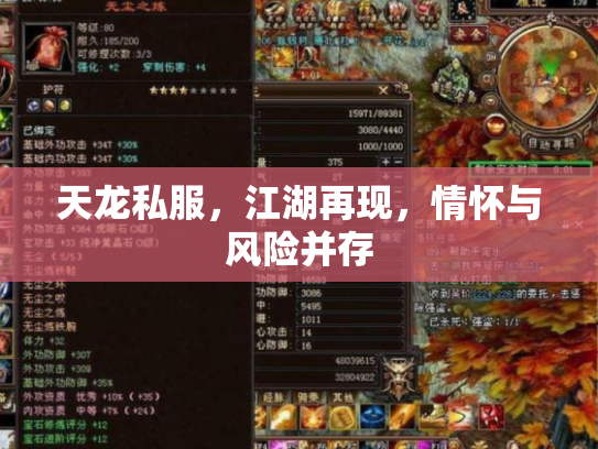 天龙私服，江湖再现，情怀与风险并存