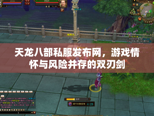 天龙八部私服发布网，游戏情怀与风险并存的双刃剑