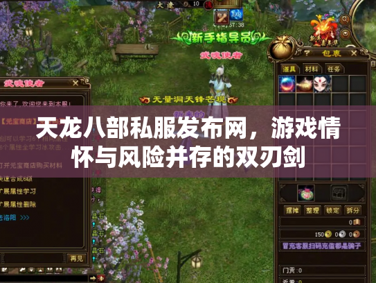 天龙八部私服发布网，游戏情怀与风险并存的双刃剑