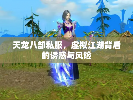 天龙八部私服，虚拟江湖背后的诱惑与风险