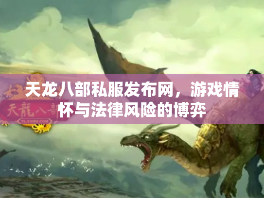天龙八部私服发布网，游戏情怀与法律风险的博弈