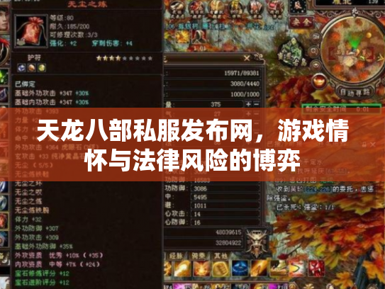天龙八部私服发布网，游戏情怀与法律风险的博弈