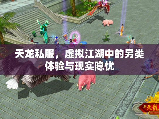 天龙私服，虚拟江湖中的另类体验与现实隐忧