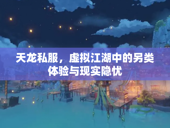 天龙私服，虚拟江湖中的另类体验与现实隐忧
