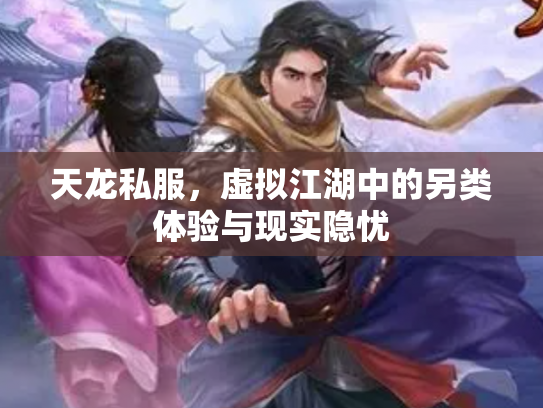 天龙私服，虚拟江湖中的另类体验与现实隐忧