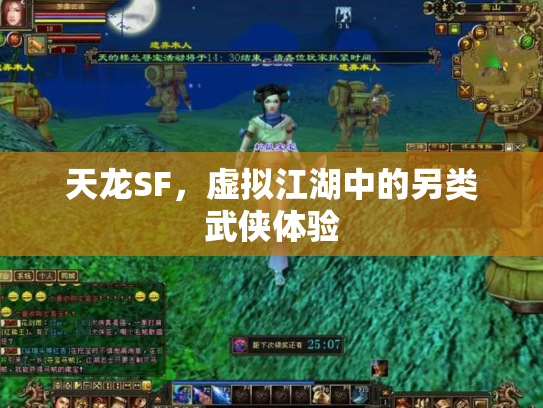 天龙SF，虚拟江湖中的另类武侠体验