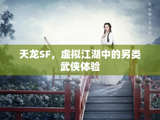 天龙SF，虚拟江湖中的另类武侠体验