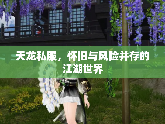天龙私服，怀旧与风险并存的江湖世界
