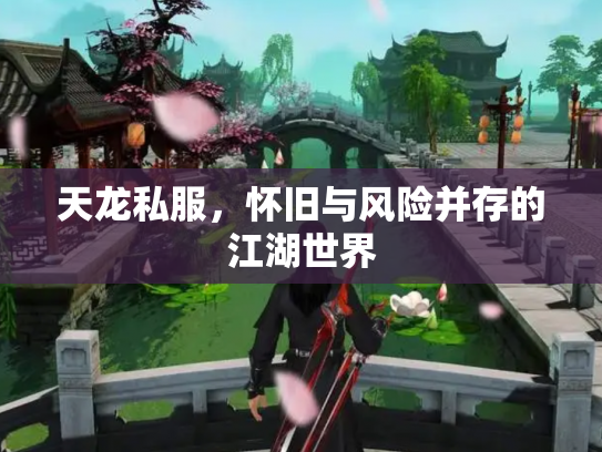 天龙私服，怀旧与风险并存的江湖世界