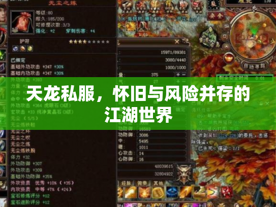 天龙私服，怀旧与风险并存的江湖世界