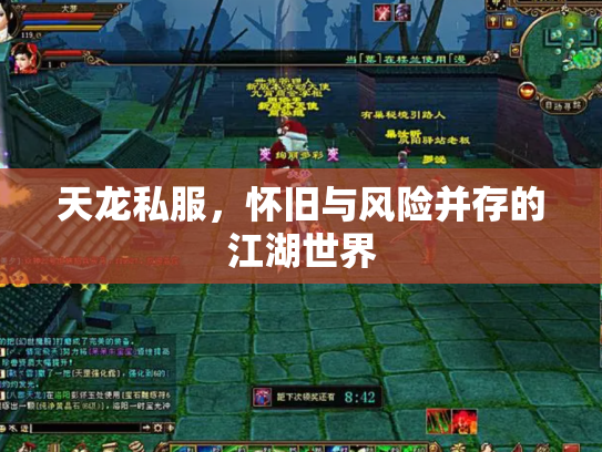 天龙私服，怀旧与风险并存的江湖世界