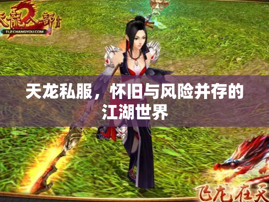 天龙私服，怀旧与风险并存的江湖世界