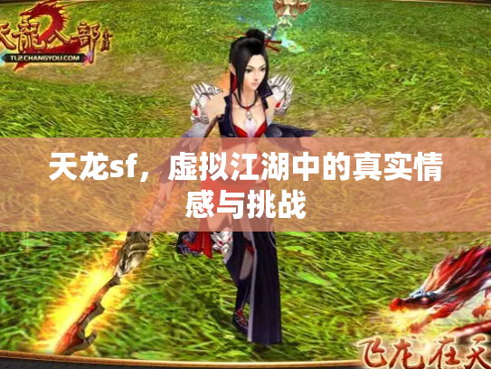 天龙sf，虚拟江湖中的真实情感与挑战