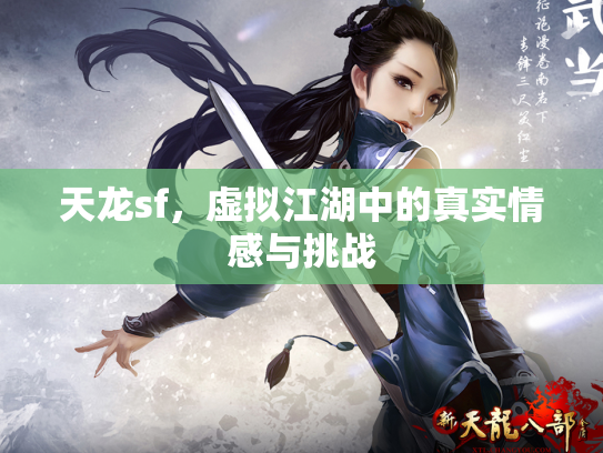 天龙sf，虚拟江湖中的真实情感与挑战
